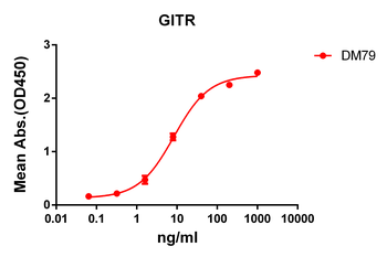 GITR Antibody