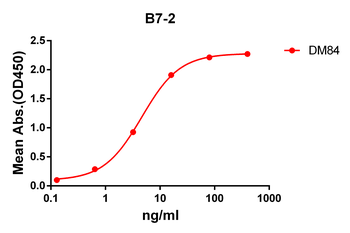 B7-2 Antibody
