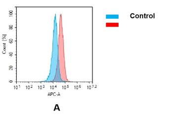AXL Biosimilar Antibody