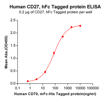 Human TNFSF11 Protein, hFc Tag