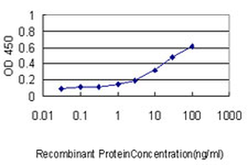 MPS1/TTK Antibody