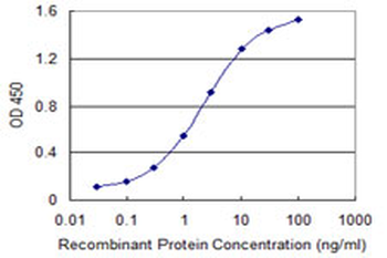 AATF Antibody