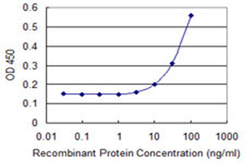 CCBL1 Antibody