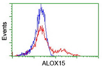 ALOX15/15-Lipoxygenase Antibody