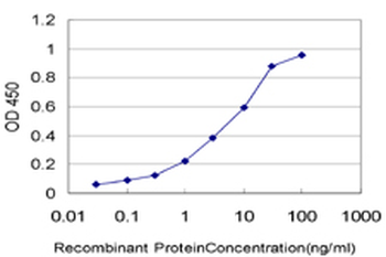 DRAK1/STK17A Antibody