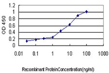 SERPING1/C1 Inhibitor Antibody