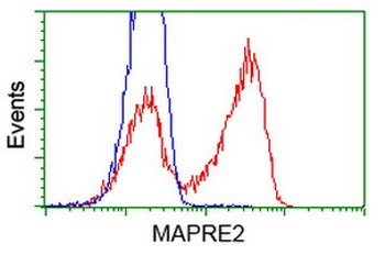 MAPRE2/EB2 Antibody