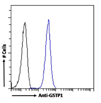 Anti-GSTP1 [SAIC-22D-22]