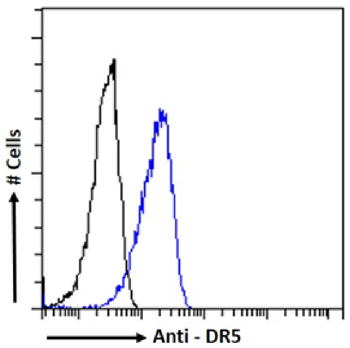 Anti-DR5 [304]