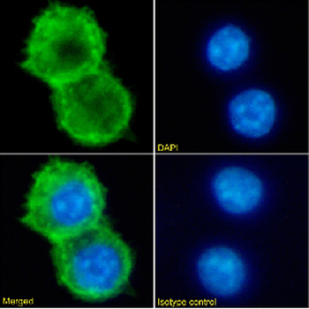 Anti-alpha-gal epitope [m86]