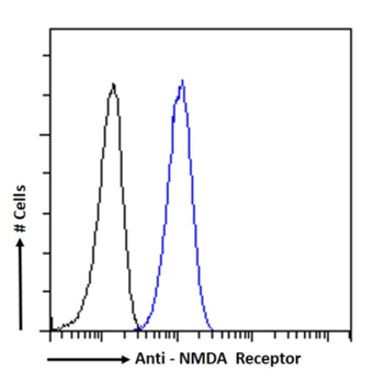 Anti-NMDA Receptor [17]