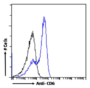 Anti-CD6 [OX-126]