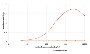Anti-Podoplanin (MAP tag) [PMab-1]