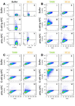 Anti-CD3 epsilon [145-2C11]