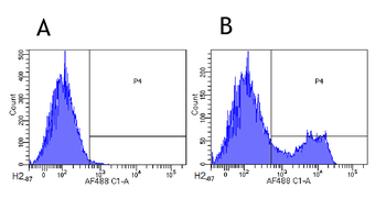 Anti-CD3 epsilon [500A2]