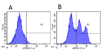 Anti-CD52 [Alemtuzumab (Campath-1H)]
