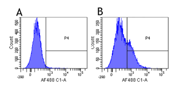 Anti-IL-2R alpha (CD25) [Basiliximab]