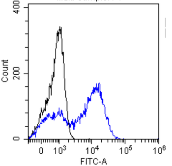 Anti-Alpha-fetoprotein (AFP) [AF5]
