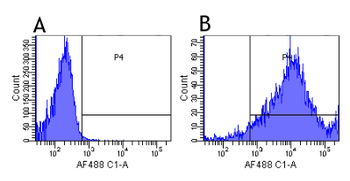 Anti-CD41 [7E3 (Abciximab)]
