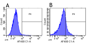 Anti-PDL1 [YDC 127.1.1]