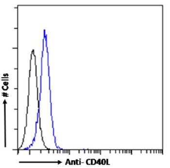 Anti-CD40L [AT161-10]