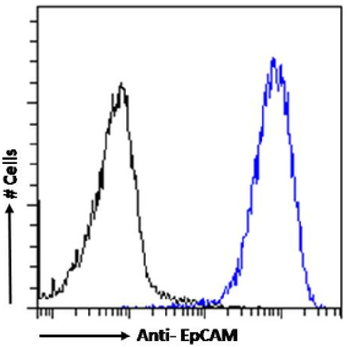 Anti-EpCAM [HEA125]