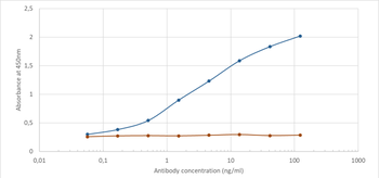 Anti-CD56 [NCAM12.19]