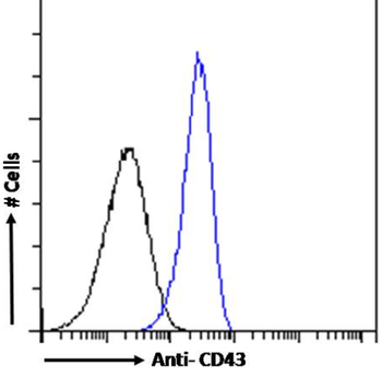 Anti-CD43 [84-3C1]