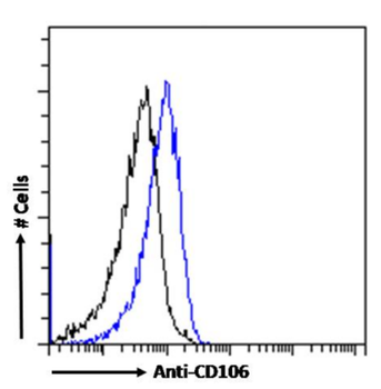 Anti-CD106 [B-K9 (C106-K9)]