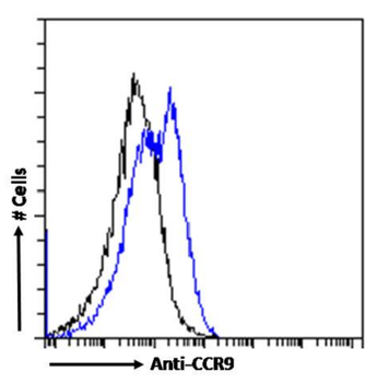 Anti-CCR9 [9B1]