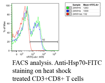 HSP70 Antibody (APC)