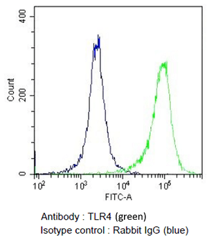 TLR4 Antibody (HRP)