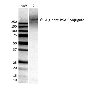 Alginate Antibody (FITC)