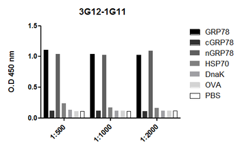 GRP78 Antibody (HRP)