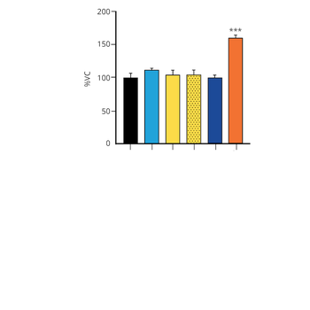 Alpha Synuclein Pre-formed Fibrils