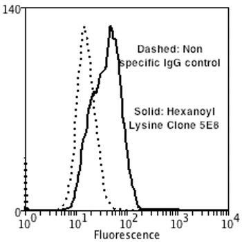 Hexanoyl-Lysine adduct Antibody (APC)