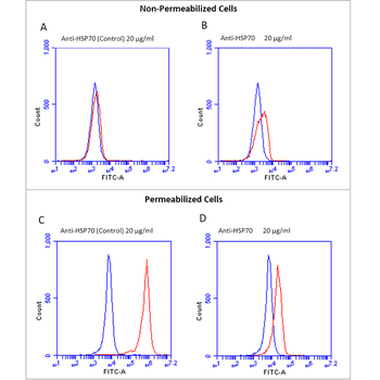 HSP70 Antibody (Biotin)