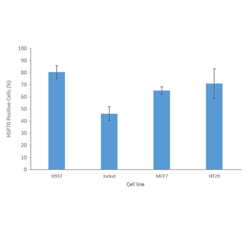 HSP70 Antibody (RPE)