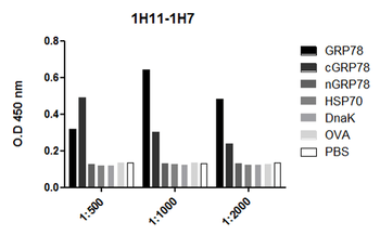 GRP78 Antibody