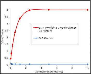 Thymidine Glycol Antibody (APC)