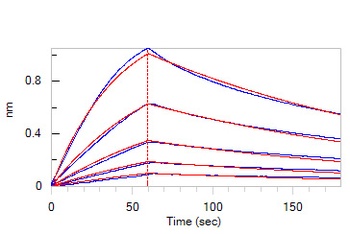 Human IL-11 R alpha Protein, His Tag