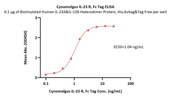 Cynomolgus IL-23 R Protein