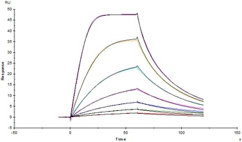 Human IL-2 R alpha Protein, Fc Tag