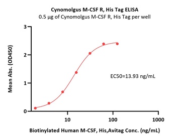Cynomolgus M-CSF R Protein, His Tag