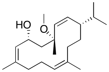 β-Cembrenediol Methyl Ether