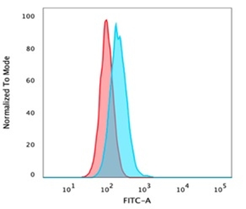 TP63 Antibody