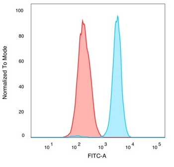QKI Antibody