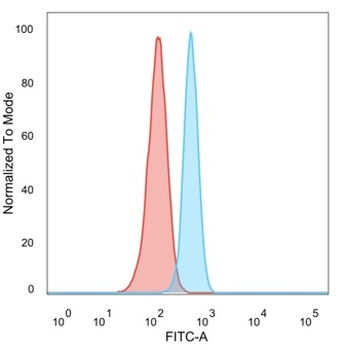 MED7 Antibody