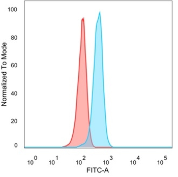 PRMT7 Antibody