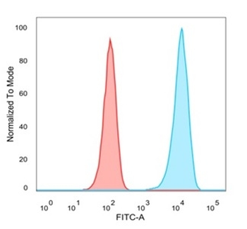 LTF Antibody